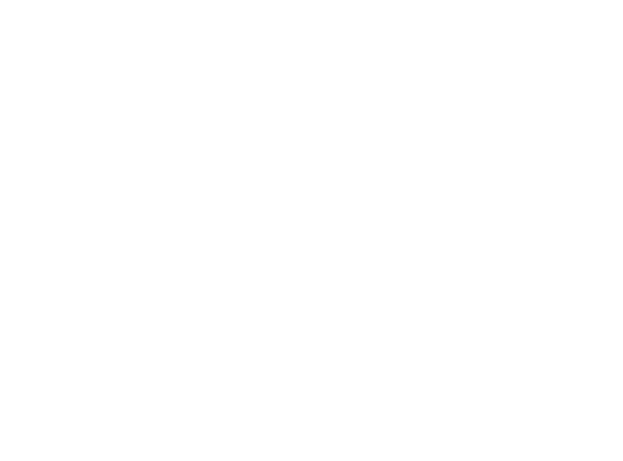 SJV Blacksno Film Festival